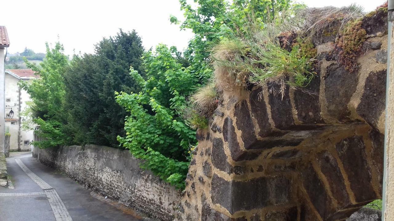 Le Petit Dyke Apartment Le Puy-en-Velay Exterior foto